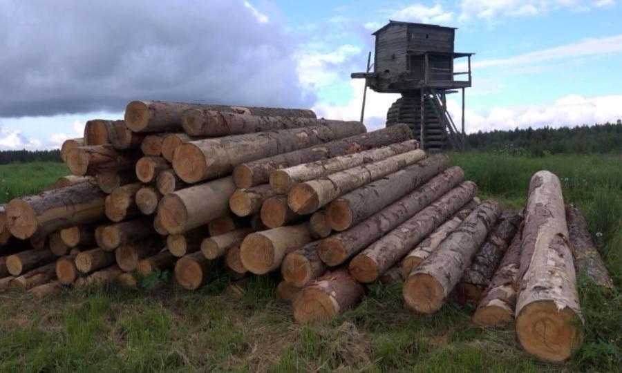 Неожиданные открытия сделали столичные реставраторы при восстановлении столбовки в деревне Погорелец Мезенского района